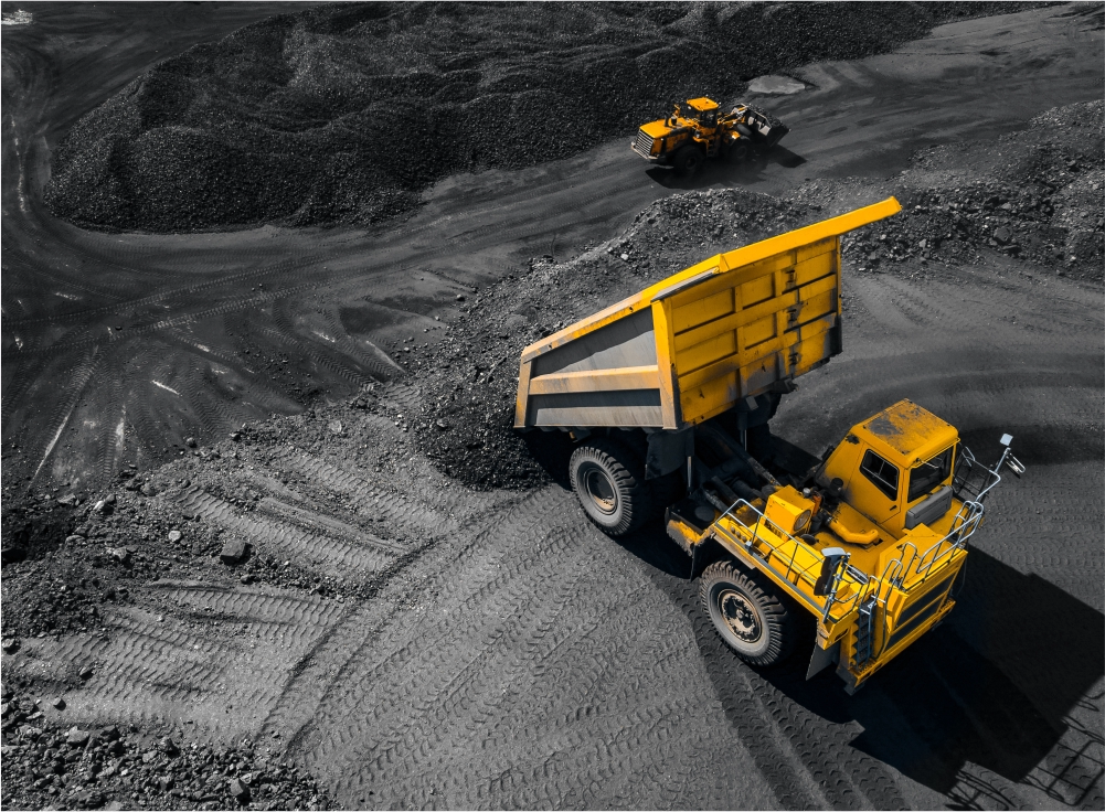 Women in India cultivating crops in a field