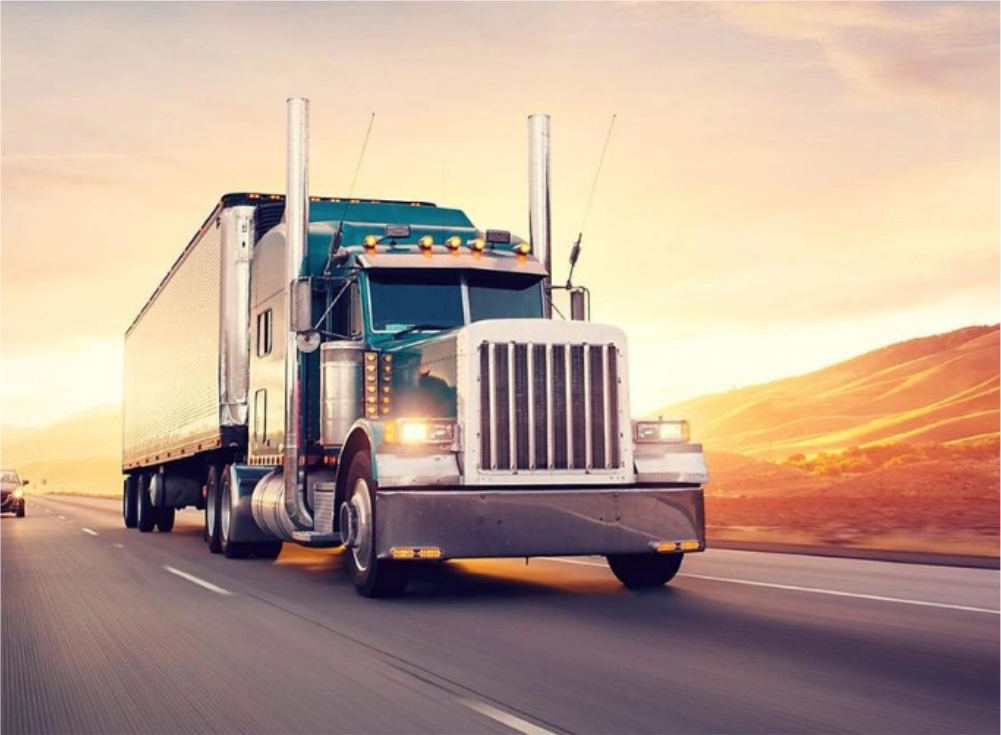 A group on the people using a net to catch fish on a sunny day